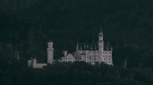 Preview wallpaper castle, trees, neuschwanstein castle, forest, mountains, schwangau, germany