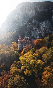 Preview wallpaper castle, trees, rocks