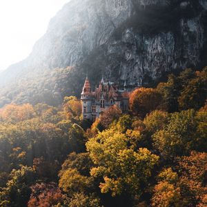 Preview wallpaper castle, trees, rocks