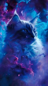 Preview wallpaper cat, animal, smoke, clouds, art, blue