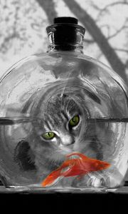 Preview wallpaper cat, aquarium, fish