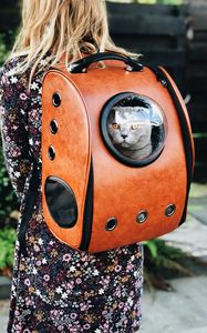 Preview wallpaper cat, backpack, girl, pet, friend, walk