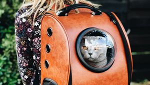 Preview wallpaper cat, backpack, girl, pet, friend, walk