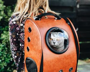 Preview wallpaper cat, backpack, girl, pet, friend, walk