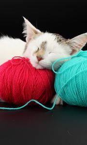 Preview wallpaper cat, ball, thread, sleep, playful