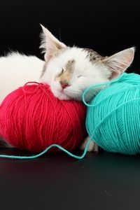 Preview wallpaper cat, ball, thread, sleep, playful