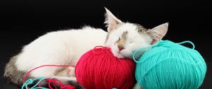 Preview wallpaper cat, ball, thread, sleep, playful