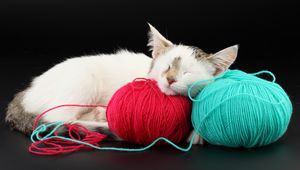 Preview wallpaper cat, ball, thread, sleep, playful