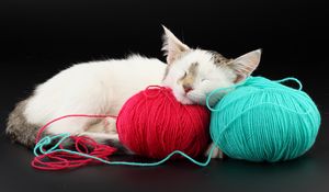 Preview wallpaper cat, ball, thread, sleep, playful