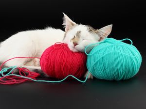 Preview wallpaper cat, ball, thread, sleep, playful