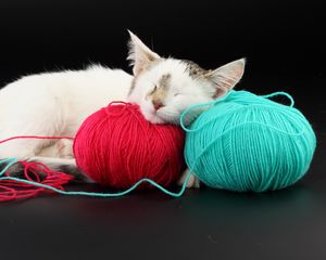 Preview wallpaper cat, ball, thread, sleep, playful