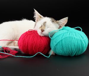 Preview wallpaper cat, ball, thread, sleep, playful