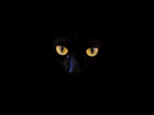 Preview wallpaper cat, black cat, eyes, dark