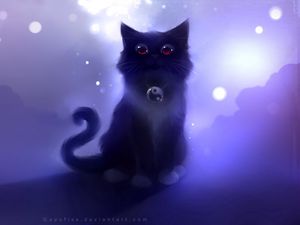 Preview wallpaper cat, black, drawing, night, apofiss