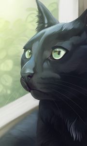 Preview wallpaper cat, black, glance, window, art