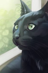 Preview wallpaper cat, black, glance, window, art
