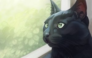 Preview wallpaper cat, black, glance, window, art