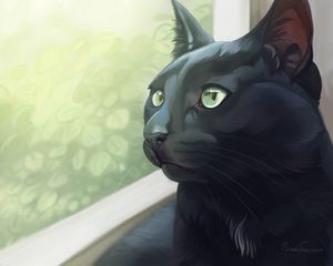 Preview wallpaper cat, black, glance, window, art