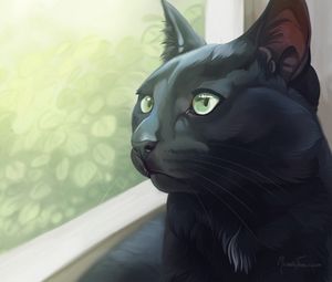 Preview wallpaper cat, black, glance, window, art