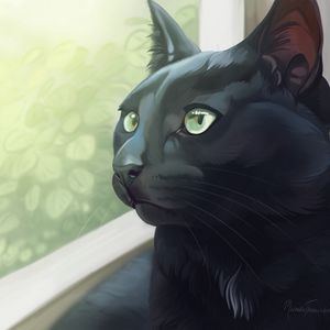 Preview wallpaper cat, black, glance, window, art