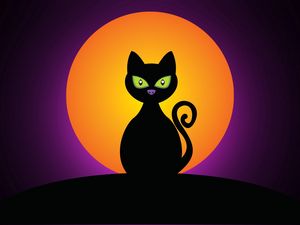 Preview wallpaper cat, black, halloween, moon, silhouette