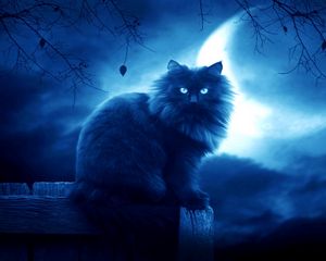 Preview wallpaper cat, black, moon, night, silhouette, outlines