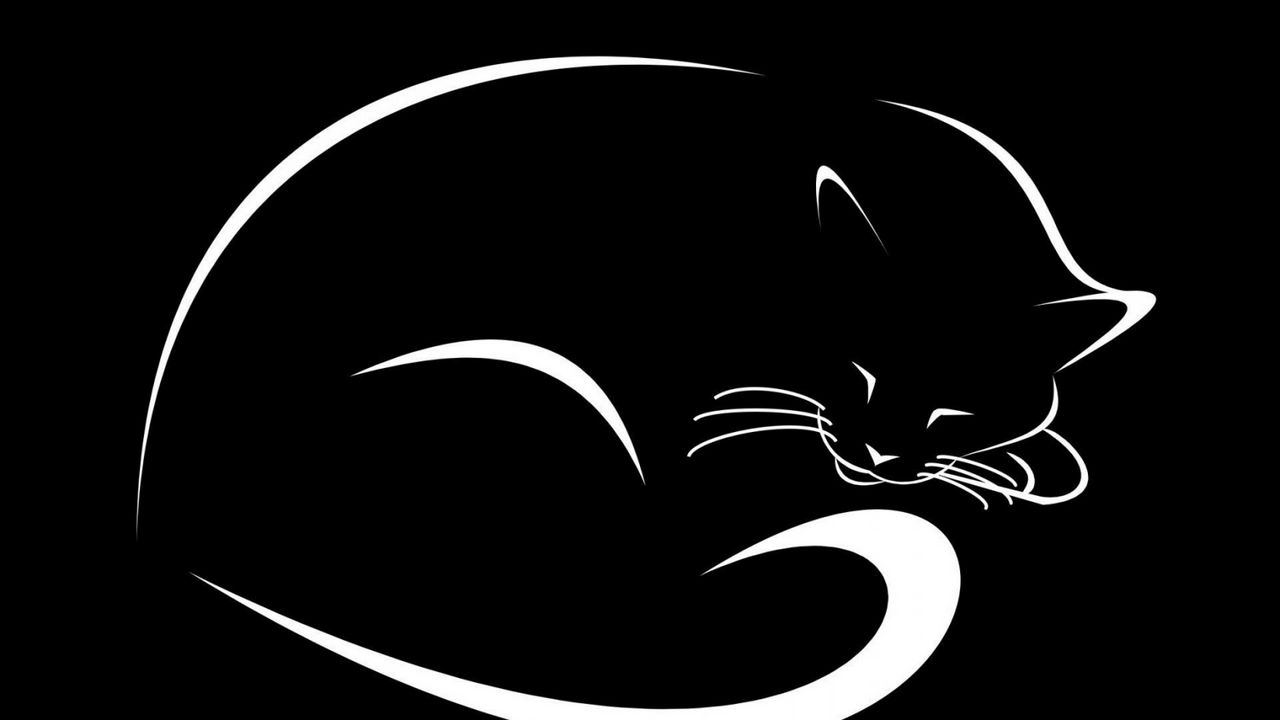 Wallpaper cat, black, vector, minimalism