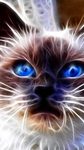 Preview wallpaper cat, blue, eyes, face, abstract