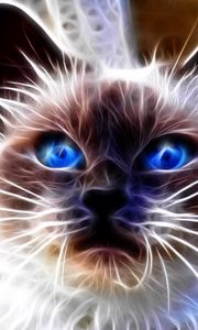 Preview wallpaper cat, blue, eyes, face, abstract