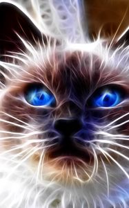 Preview wallpaper cat, blue, eyes, face, abstract