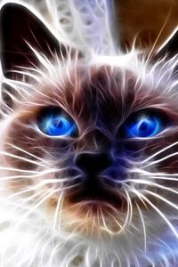 Preview wallpaper cat, blue, eyes, face, abstract