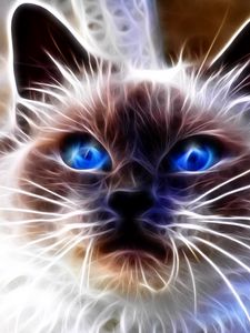 Preview wallpaper cat, blue, eyes, face, abstract