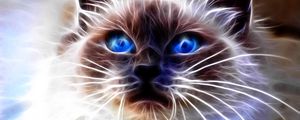 Preview wallpaper cat, blue, eyes, face, abstract