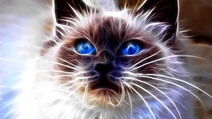 Preview wallpaper cat, blue, eyes, face, abstract