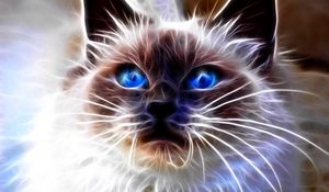 Preview wallpaper cat, blue, eyes, face, abstract