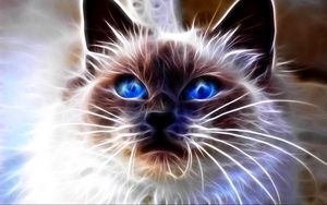 Preview wallpaper cat, blue, eyes, face, abstract