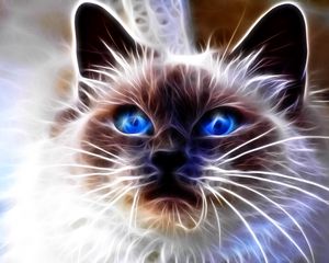 Preview wallpaper cat, blue, eyes, face, abstract