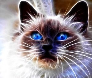 Preview wallpaper cat, blue, eyes, face, abstract