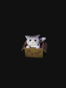 Preview wallpaper cat, box, toy, dark