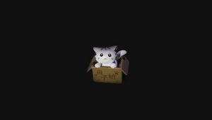 Preview wallpaper cat, box, toy, dark