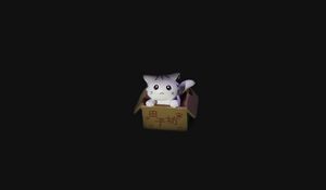 Preview wallpaper cat, box, toy, dark