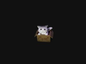 Preview wallpaper cat, box, toy, dark