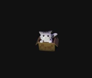 Preview wallpaper cat, box, toy, dark