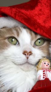 Preview wallpaper cat, christmas costume, toys, holiday