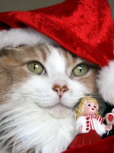 Preview wallpaper cat, christmas costume, toys, holiday