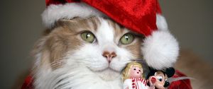 Preview wallpaper cat, christmas costume, toys, holiday