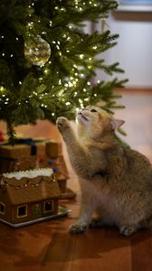 Preview wallpaper cat, christmas tree, pet, gray, new year, christmas