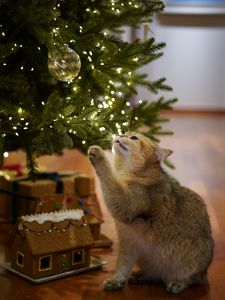 Preview wallpaper cat, christmas tree, pet, gray, new year, christmas