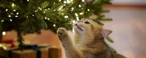 Preview wallpaper cat, christmas tree, pet, gray, new year, christmas