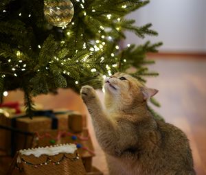 Preview wallpaper cat, christmas tree, pet, gray, new year, christmas